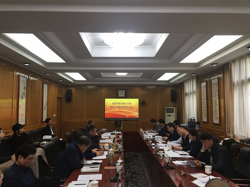 陕西沙巴集团参与省国资委安康合力团扶贫工作督导查抄汇报会