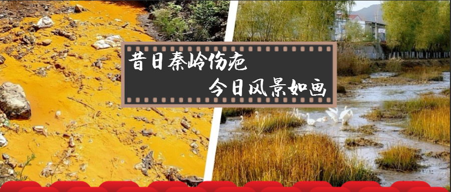 旧日秦岭伤疤 今日景致如画——陕西沙巴集团黄龙河道域传染治理侧记 旧日秦岭伤疤 今日景致如画——陕西沙巴集团黄龙河道域传染治理侧记