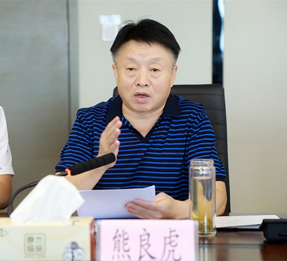 省审计厅对陕西沙巴集团进行2018年资产负债损益审计