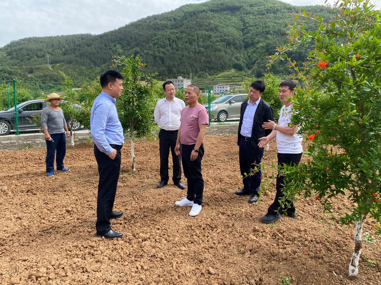 集团公司辅导赴旬阳县调研产业扶贫工作 集团公司辅导赴旬阳县调研产业扶贫工作