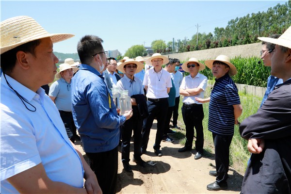 陕西沙巴集团复工复产促增长项目观摩会议与会人员走进沙巴保隆生态三秦在延在铜项目 陕西沙巴集团复工复产促增长项目观摩会议与会人员走进沙巴保隆生态三秦在延在铜项目