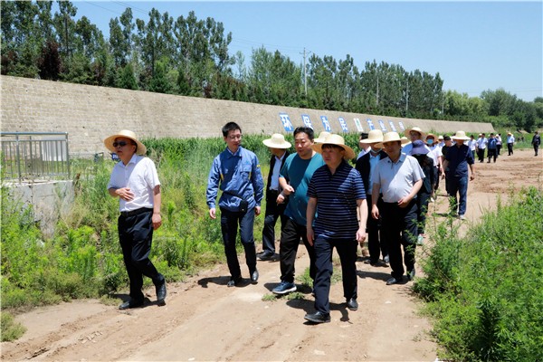 陕西沙巴集团复工复产促增长项目观摩会议与会人员走进沙巴保隆生态三秦在延在铜项目 陕西沙巴集团复工复产促增长项目观摩会议与会人员走进沙巴保隆生态三秦在延在铜项目