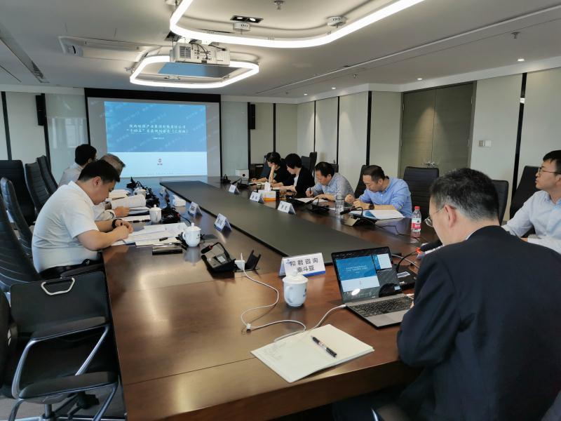 陕西沙巴集团召开“十四五”发展规划专家评审座谈会